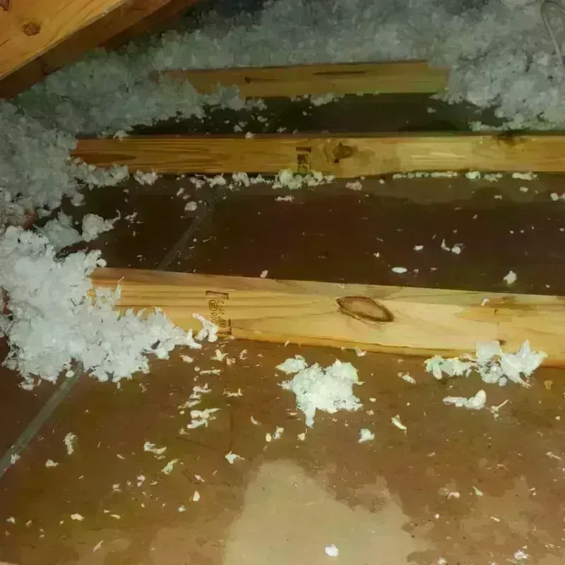 Attic Water Damage in Holiday Island, AR