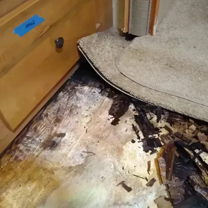 Wood Floor Water Damage in Holiday Island, AR